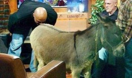 大驴爆料胜仔视频,胜仔视频揭秘幕后真相